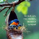 ���� �, ������ - ��������� 29 ��� 2026 � ������ ������ ��������