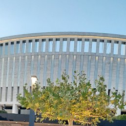 ���� ��������, �������, 51 ��� - ��������� 4 ���� 2025