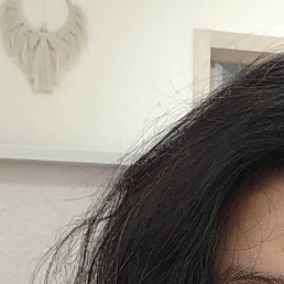 ����, �����-���������, 37 ���