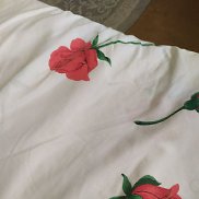 ����� ������, 27 ���, ������