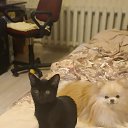 ���� ��������, ���������, 60 ��� - ��������� 16 ������ 2025 � ������ ���� ����������