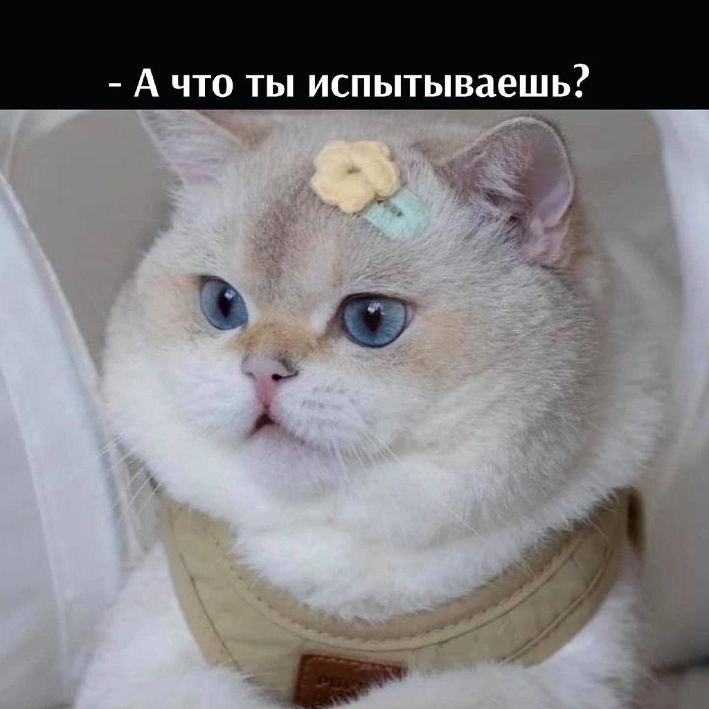       - 7  2025  16:58 - 3