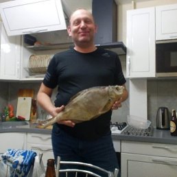 �����, �����