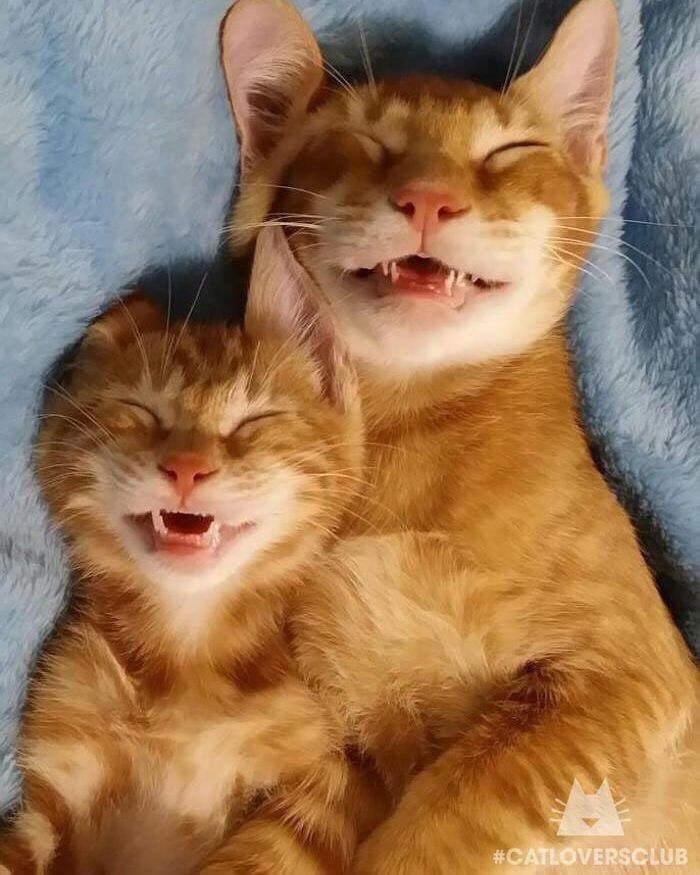   )