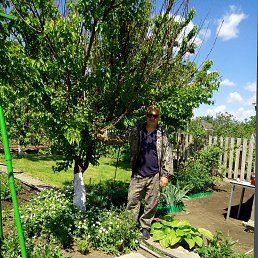 ���� ����, ��������, 59 ��� - ��������� 26 ����� 2026