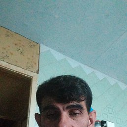 ���, �����������, 43 ����