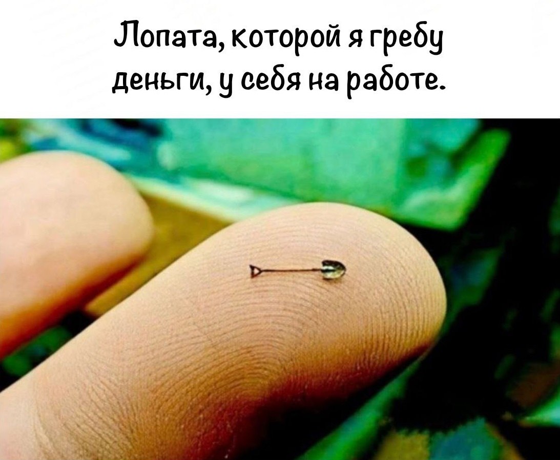 ОБО ВСЕМ - 8 сентября 2025 в 13:58