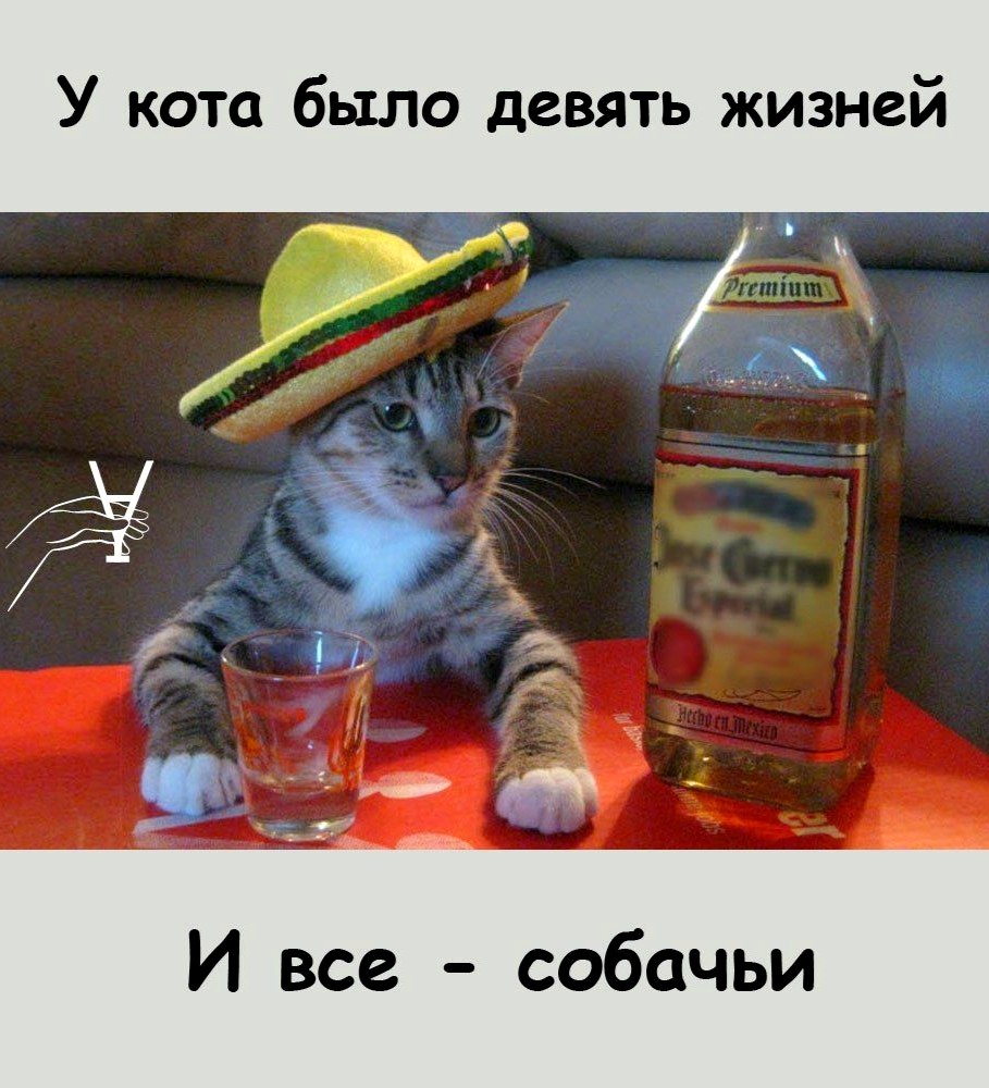     ... ,  .