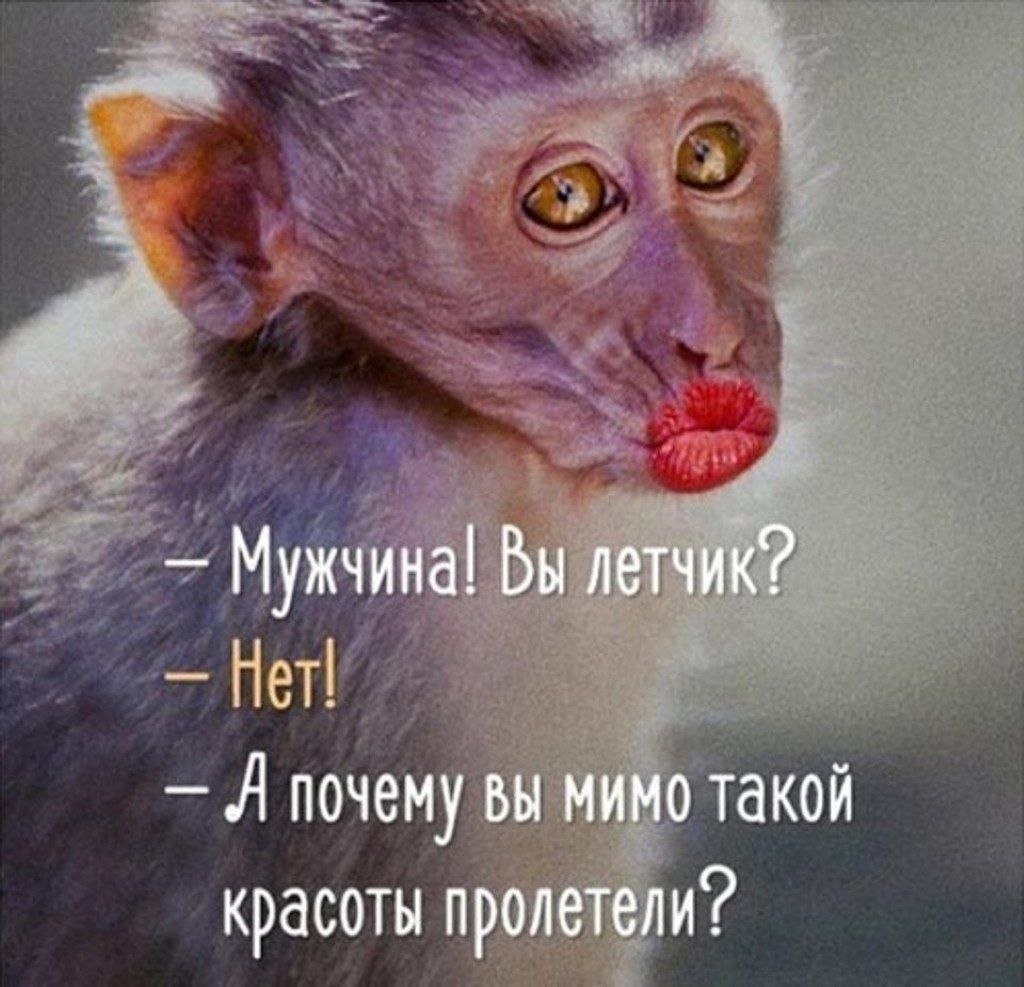  - 21  2025  20:01