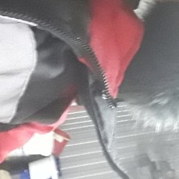 ����������, ������, 54 ����