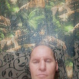 ���� ������ ���������, �����, 44 ���� - ��������� 17 ������ 2025