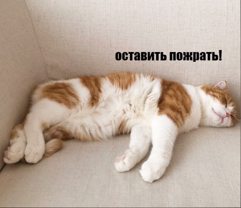 ��� ���� � ����� �� �� - 16 ����� 2026 � 11:30 - 3
