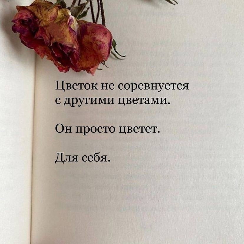   - 7  2025  19:52