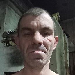 ������, ������, 40 ���