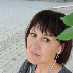 , 58, 