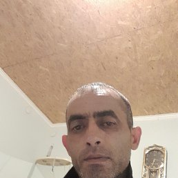 , 43, 