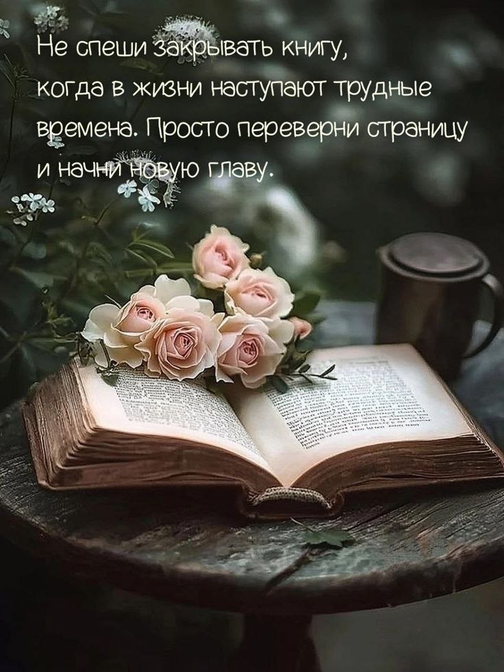   ! - 17  2025  16:30