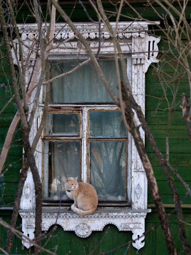 Где-то там запорошенный снегом знакомый забор, Деревянные ставни и дыма печного кудряшки… Где-то там ... - 5