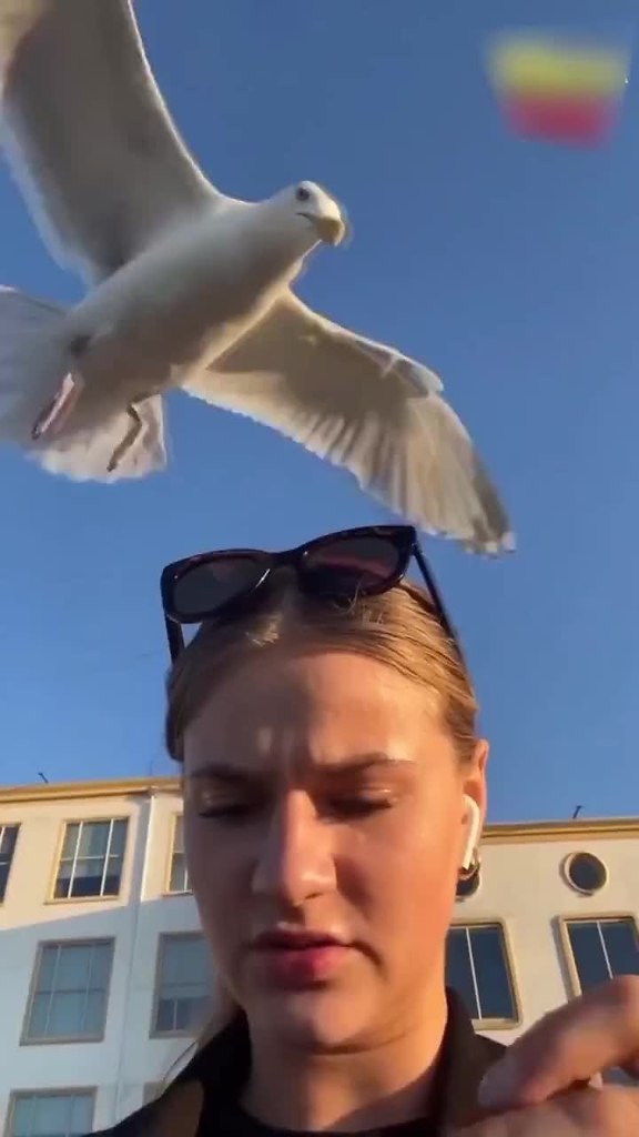      -  ,   !