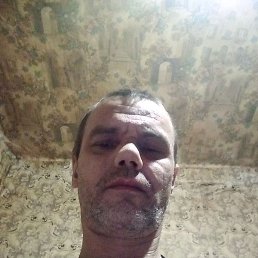 ������, ����, 49 ���