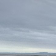 Den, 49 ���, ������