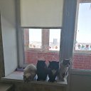 ���� Tanyushka Kat'ko, ������, 47 ��� - ��������� 4 ������� 2026 � ������ ���� ����������