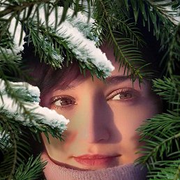 ���������, ������, 40 ���