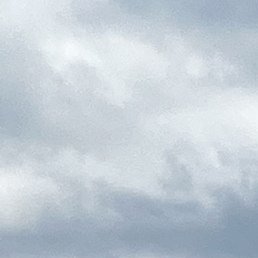 �������, �����, 51 ���