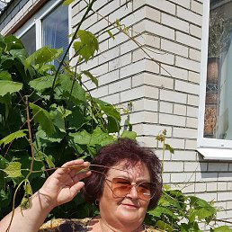 , 53,  