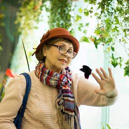 ������� ����������, ������ ��������, 71 ���