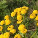 ���� �������, ��������, 63 ���� - ��������� 8 ������ 2023