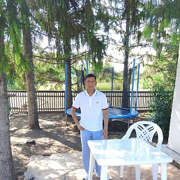 ������, ����, 55 ���