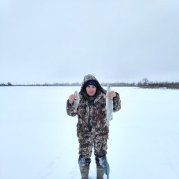 �����, 44 ����, ������