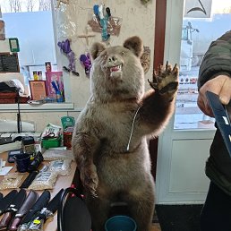 ���� ������, ���������, 44 ���� - ��������� 28 ������� 2025