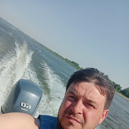 ������, 41 ���, �����������