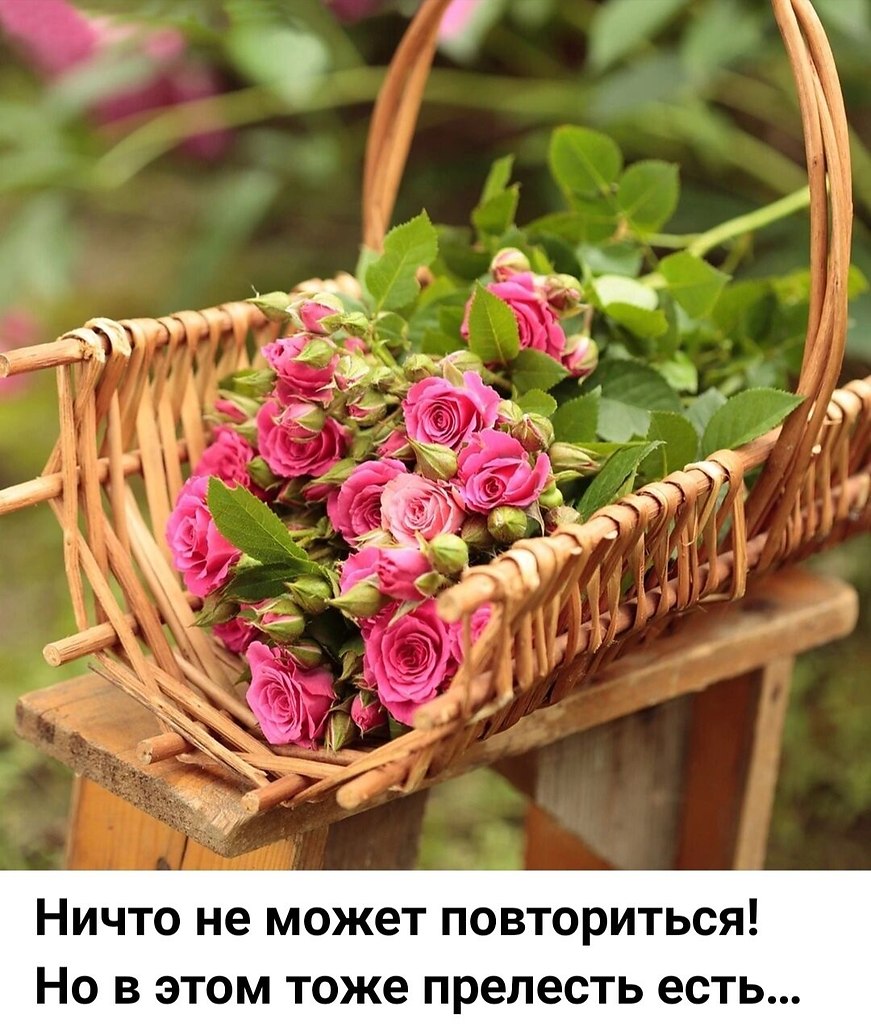   - 26  2025  12:10
