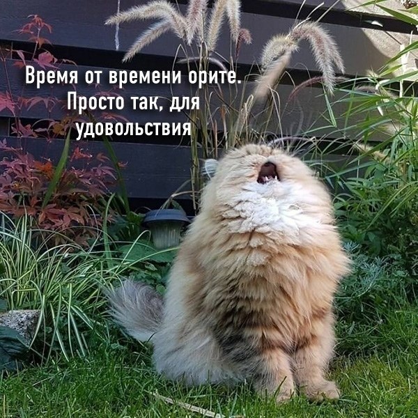   : - 4