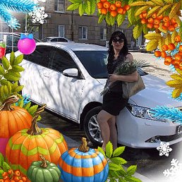 �����, ���������, 54 ����