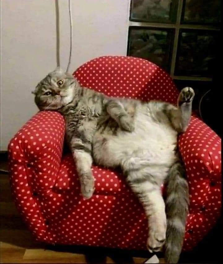 -     , , ,  ,      , ...