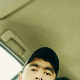 , 33, 