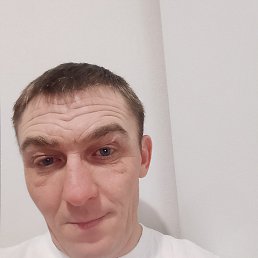 �������, ����, 40 ���