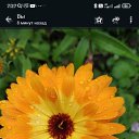 ���� �������, �����������, 44 ���� - ��������� 10 ������ 2024