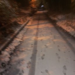 ������, �����-���������, 25 ���