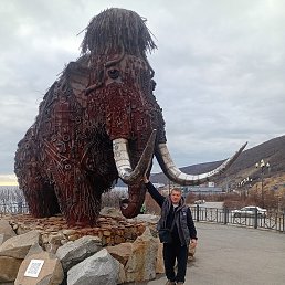 , 37, 