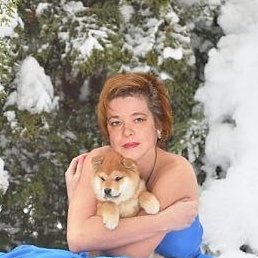 ��������, ����������