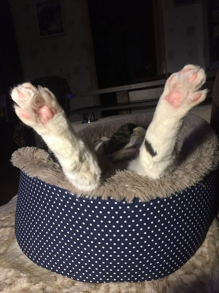  !