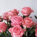 ���� Nargiza, �������, 56 ��� - ��������� 6 ������� 2025 � ������ ������ ��������