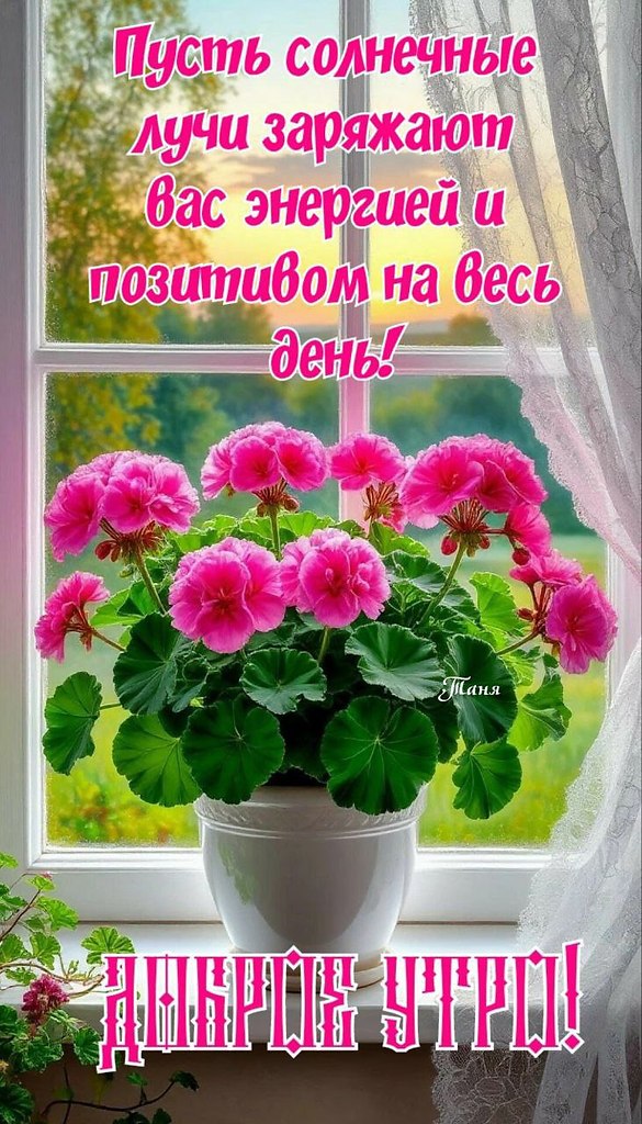   ,    . - 29  2025  08:09 - 7