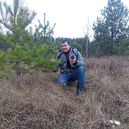 �����, �����, 35 ���