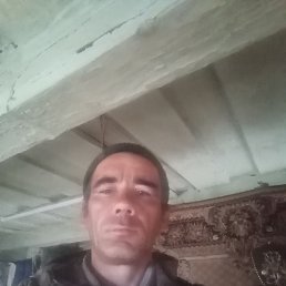 , 41, 